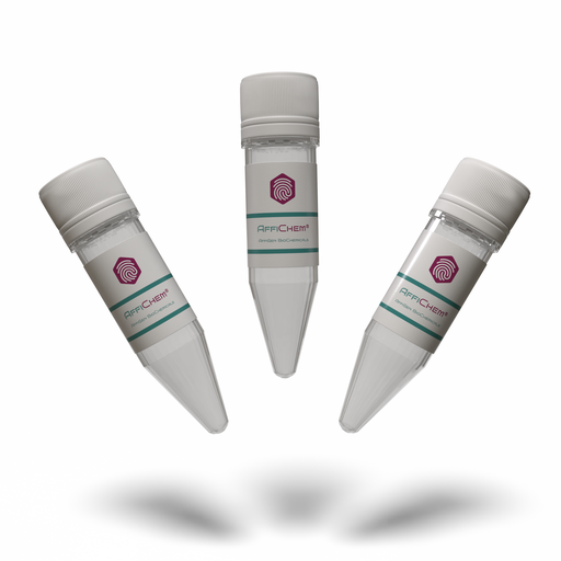 [AFG-EEM-0002] AffiCHEM® Taq DNA Polymerase
